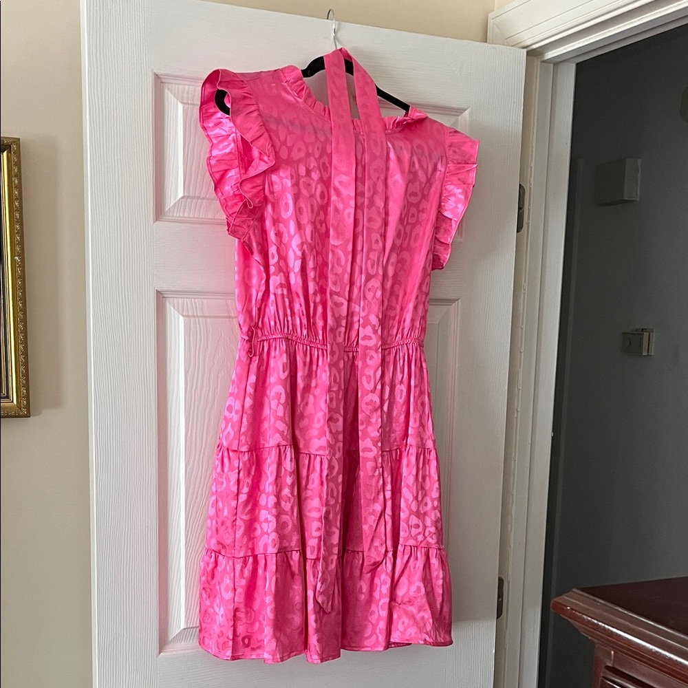 Pink Ruffled women’s dress